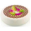 PLAQUE SILICONE 320X170 - 2 décor mandala Ø 140xht1.7 mm