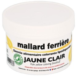 DENREE ALIMENTAIRE COLORANTE 100 g