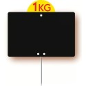 ARDOISE NEUTRE NOIRE 150X100 mm - disque poids en ht, pique inox (lot