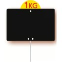 ARDOISE NEUTRE NOIRE 200X150 mm - disque poids en ht, pique inox (lot