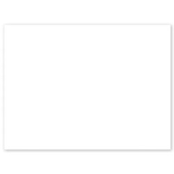 PANCARTE 300x200 mm – blanche, fil nylon (lot de 10)