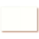ÉTIQUETTE 120x80 mm blanche neutre, sans roulettes, sans attachement 