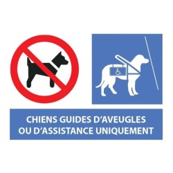 PANCARTE 300x200 mm "Chien interdit sauf chien guide ou d'assistance"