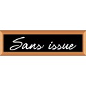 PLAQUE TERRA FAUX CADRE BOIS 170x50 MM "Sans Issue"