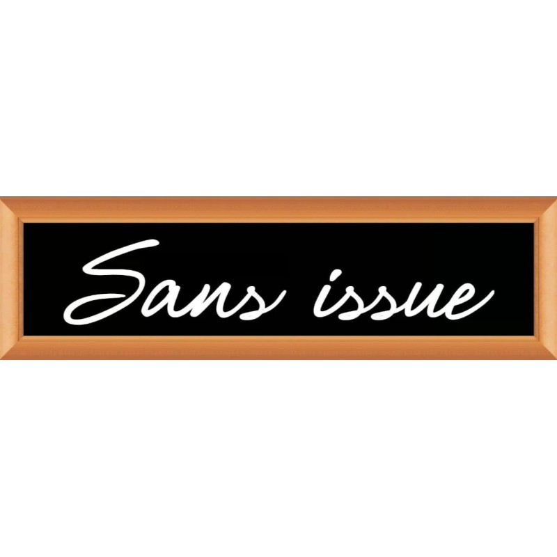 PLAQUE TERRA FAUX CADRE BOIS 170x50 MM "Sans Issue"