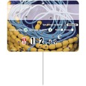 ETIQUETTE POISSON CORDAGE