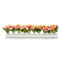 BARRETTES BLANCHES LG 250 MM - FLEURS DE PRUNIER - Boîte de 12