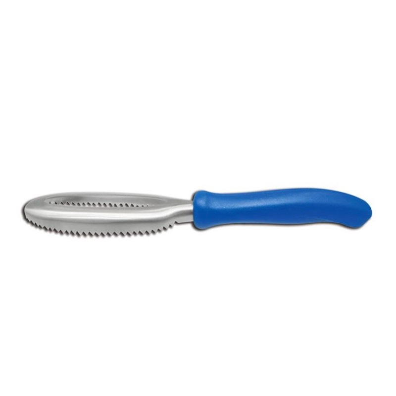 ECAILLEUR SIMPLE - 160 - BLEU - modèle économique