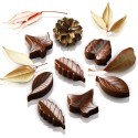 PLAQUE SILICONE CHOCOLAT - 8 feuilles assorties 51x23xht14.5 mm - 10m