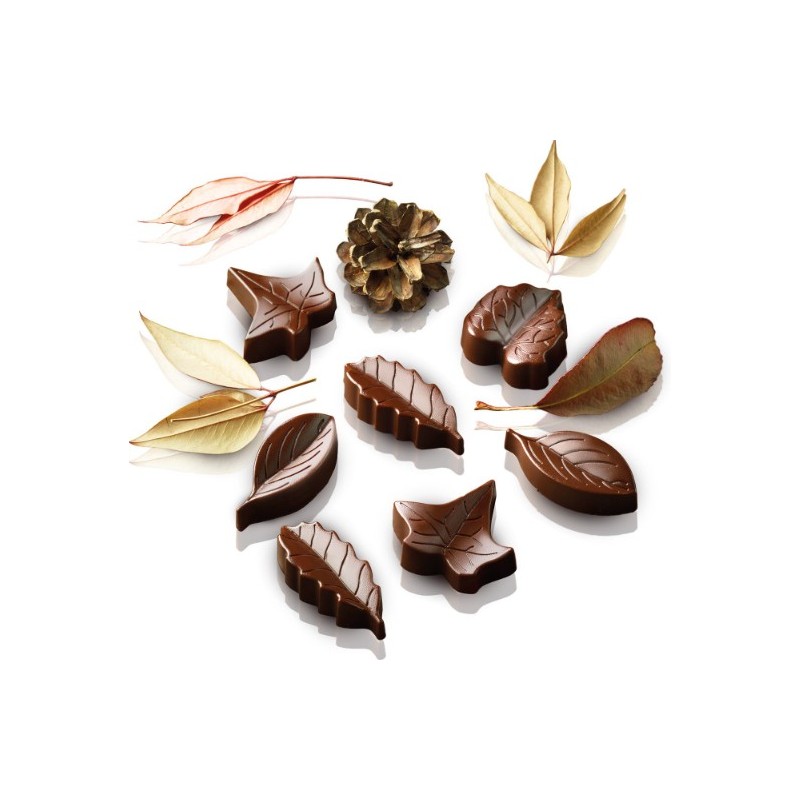 PLAQUE SILICONE CHOCOLAT - 8 feuilles assorties 51x23xht14.5 mm - 10m