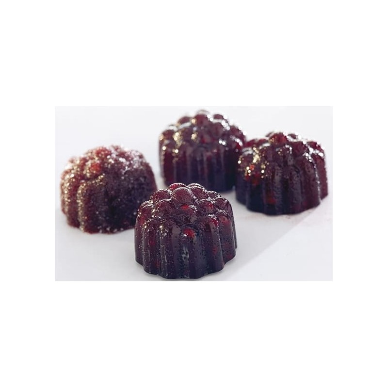 PLAQUE SILICONE 180X335 - Pâte de fruit framboise Ø 30xht24 mm - 10ml