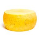 FACTICE MEULE GRANA PADANO - Ø 440  x ht 210 mm