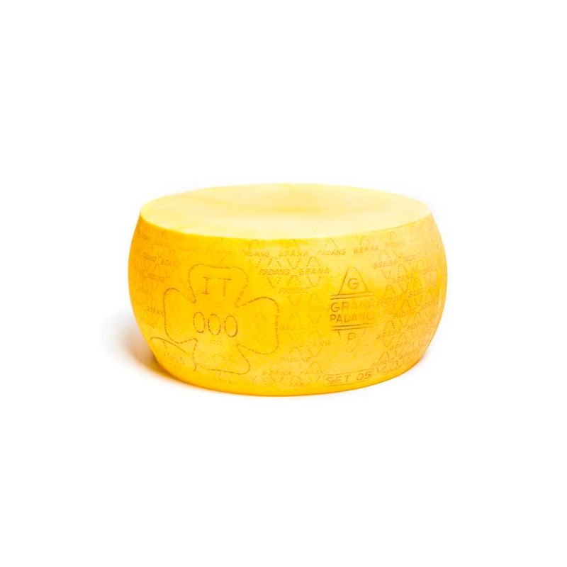 FACTICE MEULE GRANA PADANO - Ø 440  x ht 210 mm
