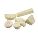 FACTICE ASSORTIMENT FROMAGES FRANCAIS (lot de 6)
