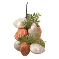 FACTICE GRAPPE DE COQUILLAGES