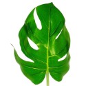 FACTICE FEUILLE DE PHILODENDRON Ø 20 ht 56 cm (l'unité)