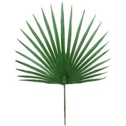 FACTICE FEUILLE DE PALMIER CHAMAEROPS