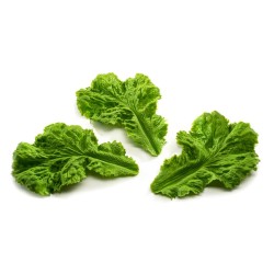 FACTICE FEUILLE DE LAITUE PAQUET DE 12