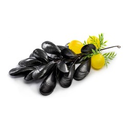 FACTICE GRAPPE DE MOULES AVEC CITRON