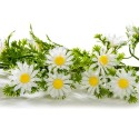 GUIRLANDE MARGUERITES - Lg 2.70 mètres