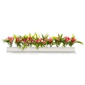 BARRETTES BLANCHES LG 250 MM - FLEURS DE LA PASSION - Boîte de 12