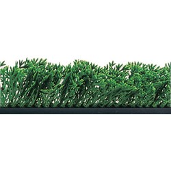 RECHARGE POUR SEPARATEUR VITRINE LG 250 MM