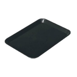 PLAT RECTANGULAIRE ECONOMIQUE