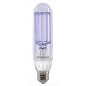 AMPOULE LED 5W