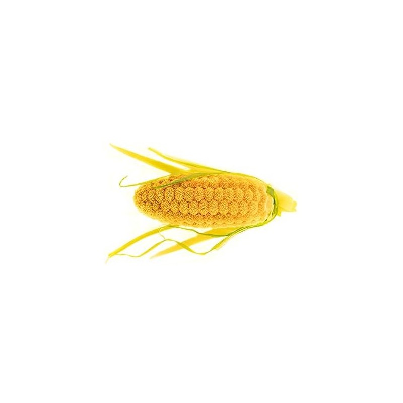 PLAQUE SILICONE 300X175 - 12 épis de maïs 68.5x26.4xht21.2 mm - 20ml