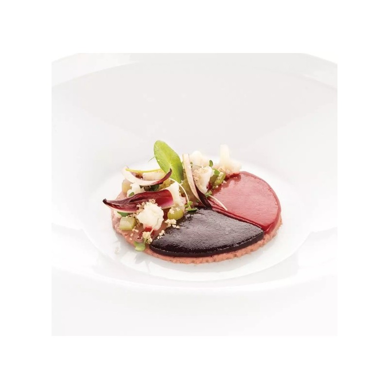 PLAQUE SILICONE 470X270 - 9 séries de disques Ø 100xht5 mm - 40ml