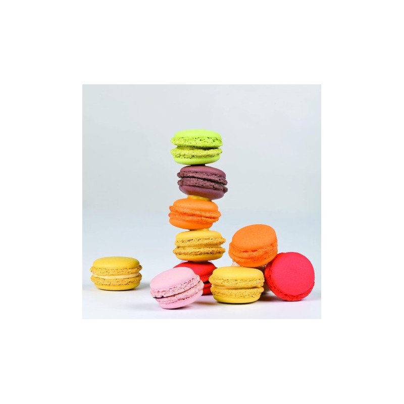 PLAQUE MACARONS SILICONE