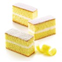 PLAQUE SILICONE MINI CAKES
