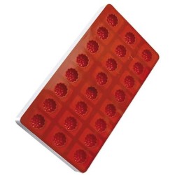 PLAQUE SILICONE 180X335 - Pâte de fruit framboise Ø 30xht24 mm - 10ml