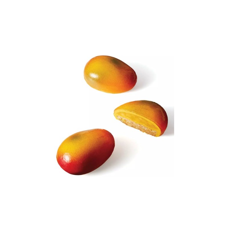 PLAQUE SILICONE 300X175 - 6 mangues 93x57xht42 mm - 130ml