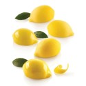 PLAQUE SILICONE 300X175 - 15 mini citrons 58x38xht27 mm - 30ml