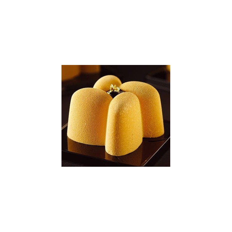 PLAQUE SILICONE HELICES