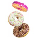 PLAQUE SILICONE 600X400 - 24 donuts Ø 85xht29 mm - 133ml