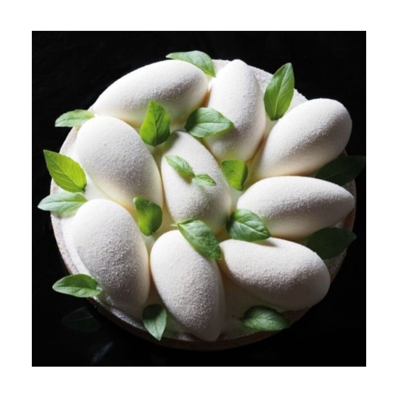 PLAQUE SILICONE QUENELLES POINTUES