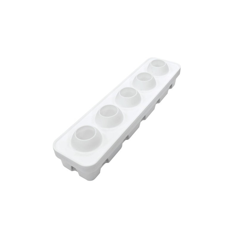 KIT MOULE SILICONE - 5 fruits Ø 60xht55 mm - 115ml