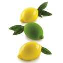 KIT MOULE SILICONE - 5 citrons 88.5x61.5xht44.7 mm - 120ml