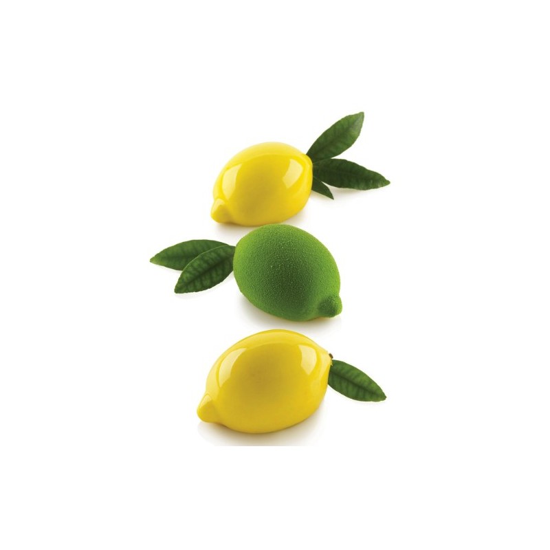 KIT MOULE SILICONE - 5 citrons 88.5x61.5xht44.7 mm - 120ml