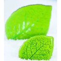 KIT MOULE SILICONE - Feuille hêtre 118x87 mm