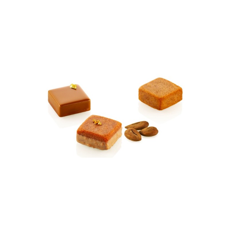 PLAQUE SILICONE 300X175 - 24 carrés 36.7x36.7xht15.7 mm - 20ml