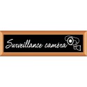 PLAQUE TERRA FAUX CADRE BOIS 170x50 MM "Surveillance Caméra"