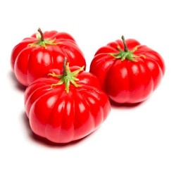 FACTICE TOMATE COEUR DE BOEUF Ø 80 ht 65 mm (lot de 3)