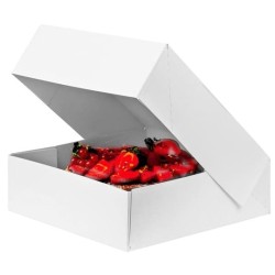 BOITE A VACHERIN BLANCHE 230x230x130 mm (x25)