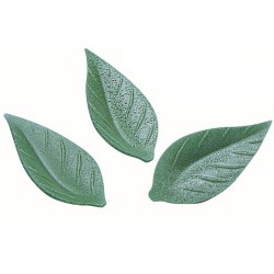 FEUILLE DE LISERON AZYME vert foncé 38 mm (x500)