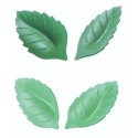 FEUILLE DE ROSE AZYME vert clair 47 mm (x350)