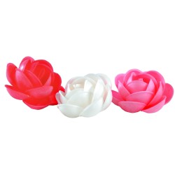 ROSE MARIE MOYEN MODELE - Ø 50 mm (x60)