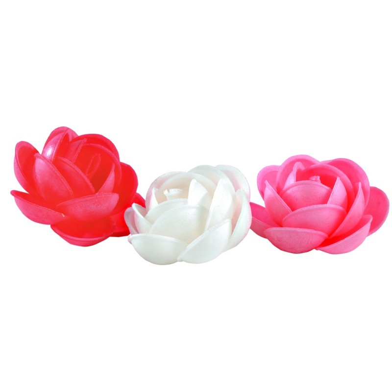 ROSE MARIE MOYEN MODELE - Ø 50 mm (x60)